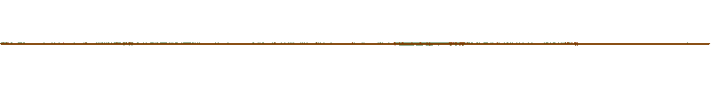 Waveform of the field recording.