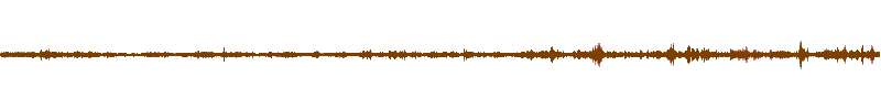 Waveform of the field recording.