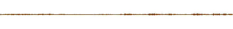 Waveform of the field recording.