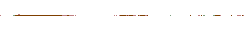 Waveform of the field recording.