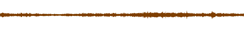 Waveform of the field recording.