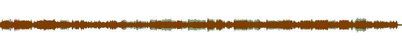 Waveform of the field recording.