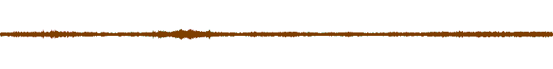 Waveform of the field recording.