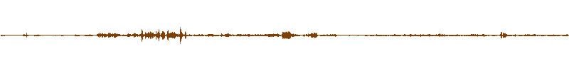 Waveform of the field recording.