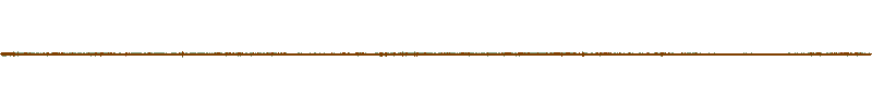 Waveform of the field recording.