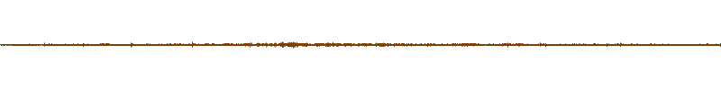 Waveform of the field recording.