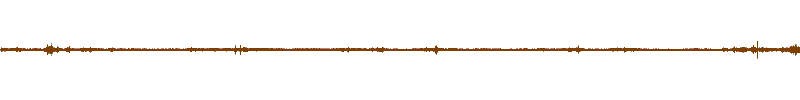 Waveform of the field recording.