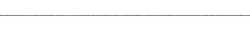 Waveform of the field recording.