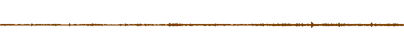 Waveform of the field recording.