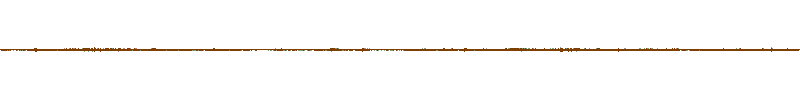 Waveform of the field recording.