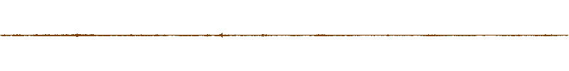 Waveform of the field recording.