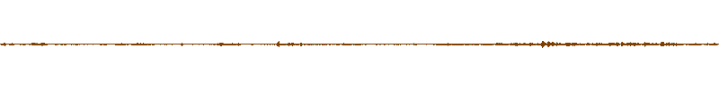 Waveform of the field recording.