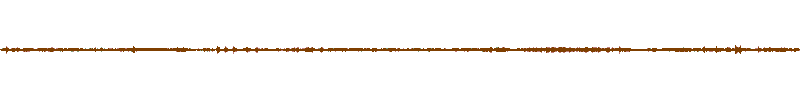 Waveform of the field recording.