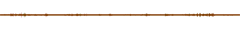 Waveform of the field recording.