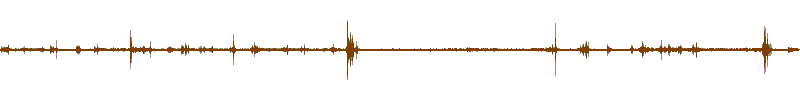 Waveform of the field recording.