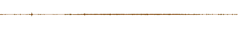 Waveform of the field recording.