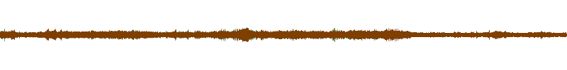 Waveform of the field recording.