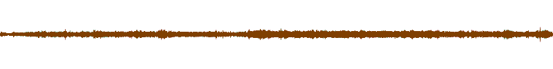 Waveform of the field recording.